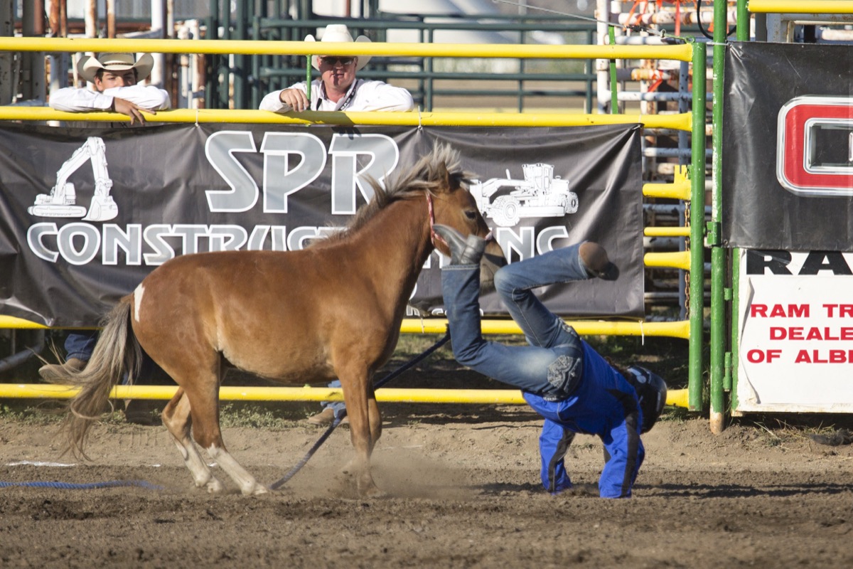 Rodeo photograph 65 by Shauna Kenworthy
