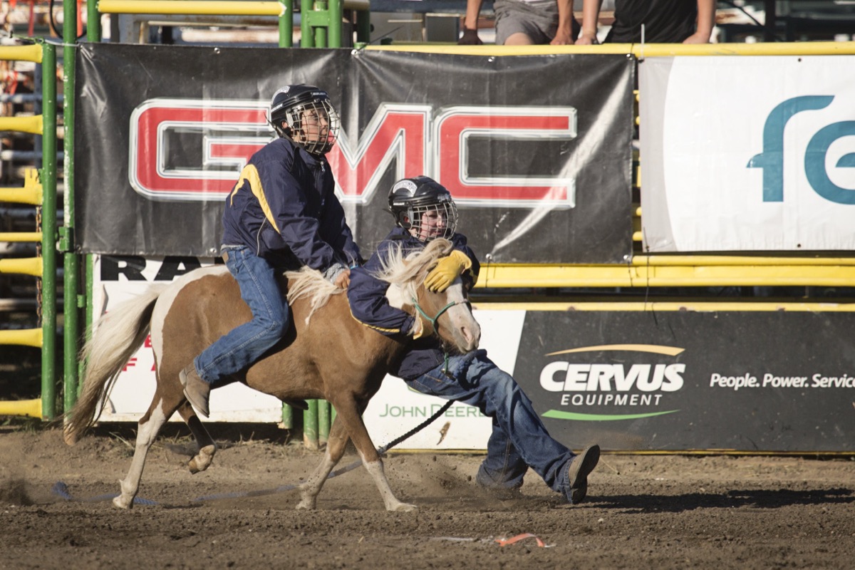 Rodeo photograph 67 by Shauna Kenworthy