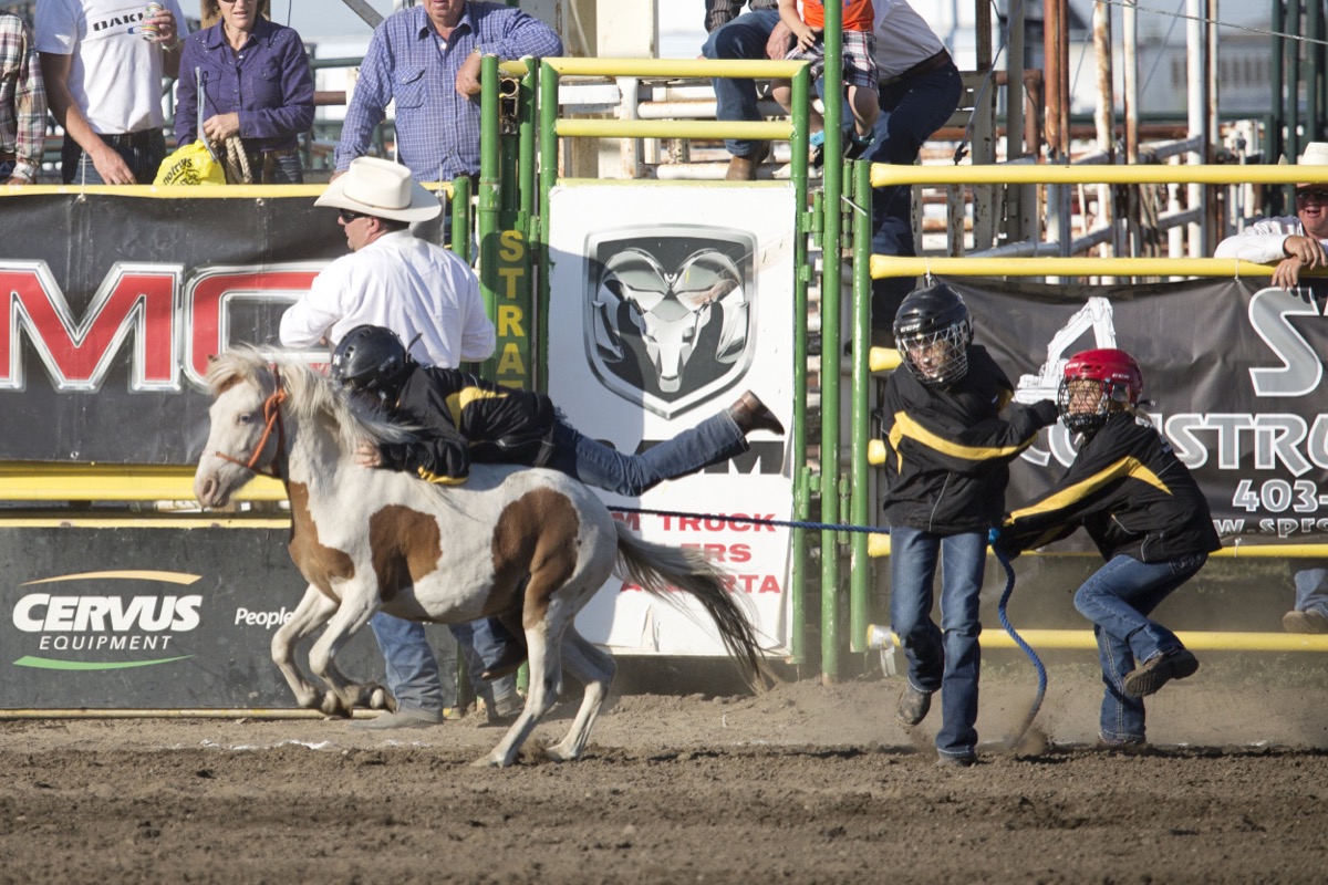 Rodeo photograph 68 by Shauna Kenworthy