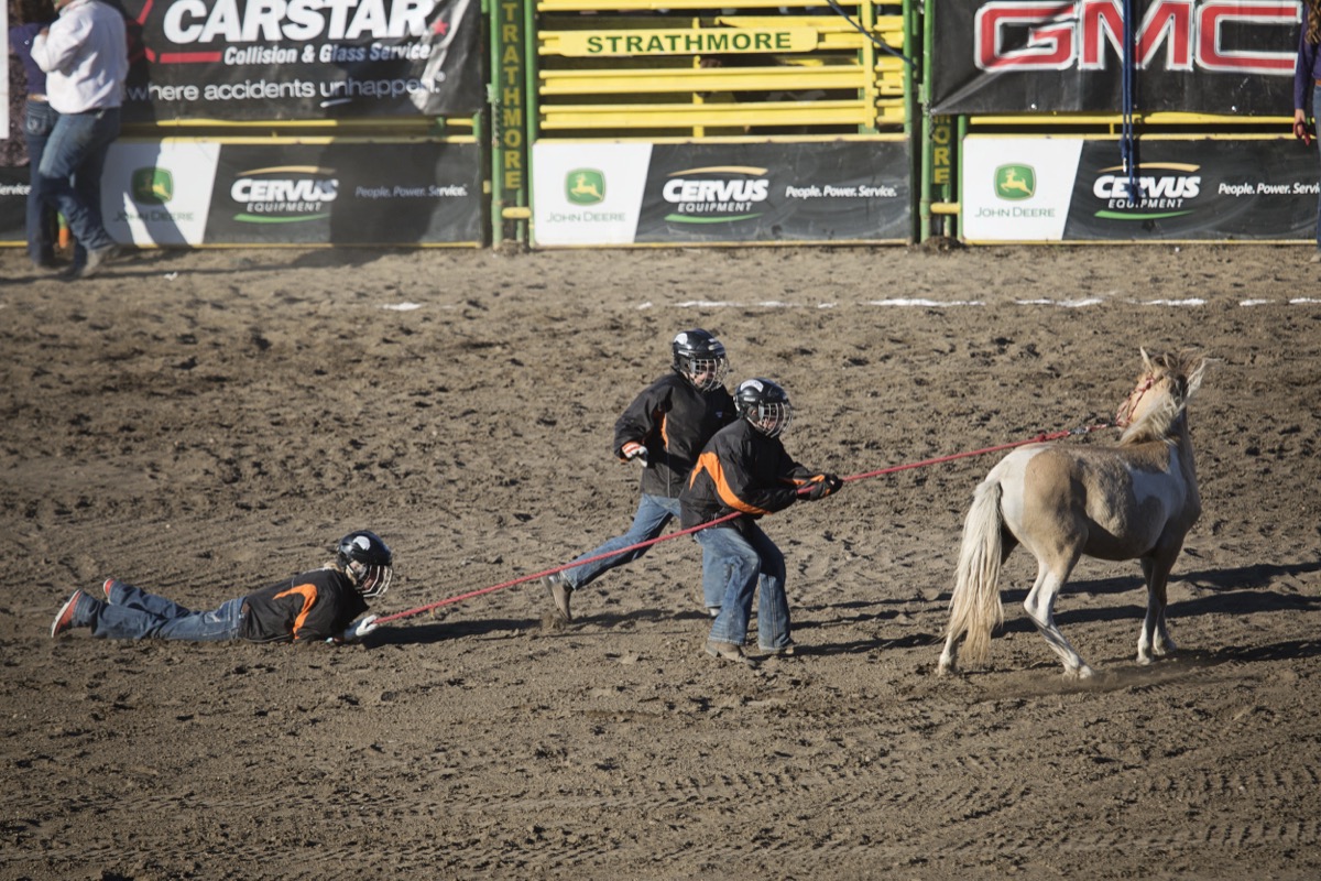 Rodeo photograph 69 by Shauna Kenworthy
