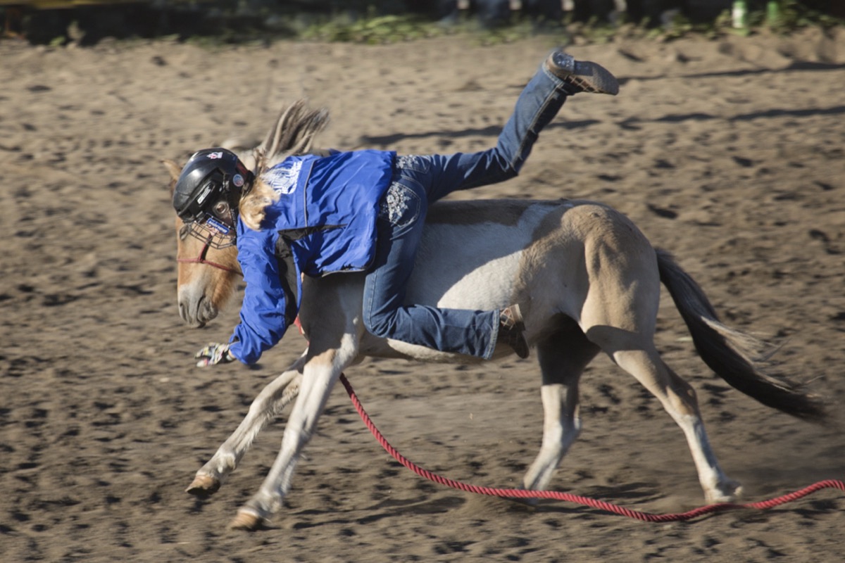 Rodeo photograph 70 by Shauna Kenworthy