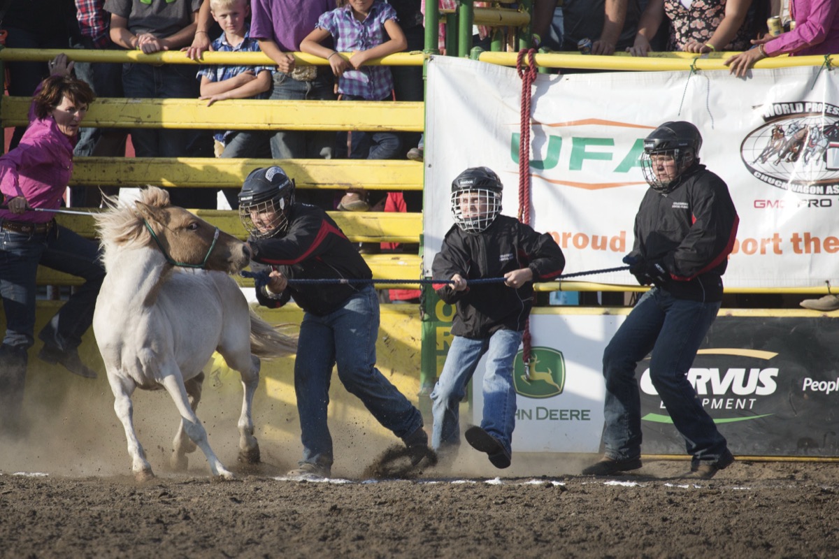 Rodeo photograph 71 by Shauna Kenworthy
