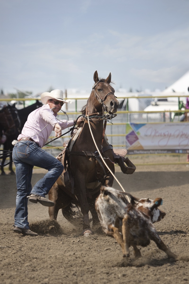 Rodeo photograph 72 by Shauna Kenworthy