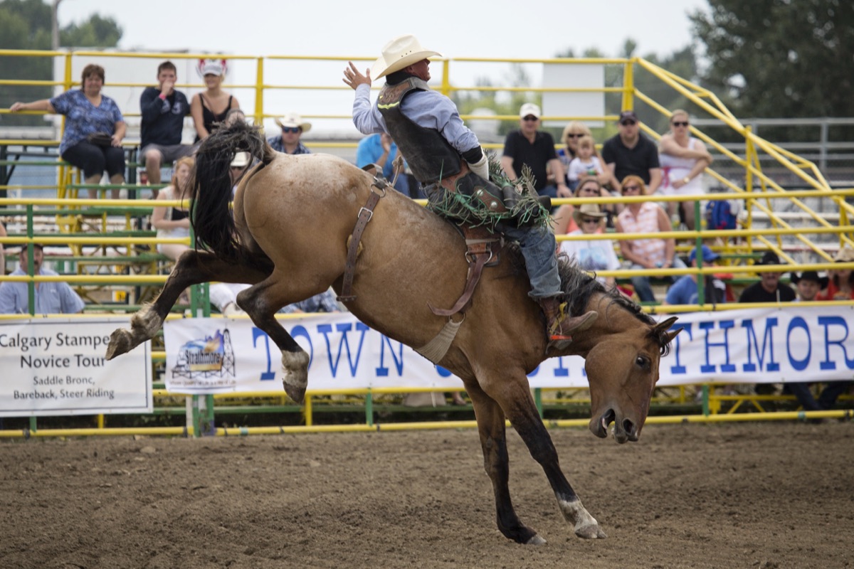 Rodeo photograph 73 by Shauna Kenworthy