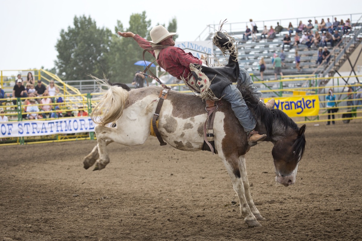 Rodeo photograph 74 by Shauna Kenworthy