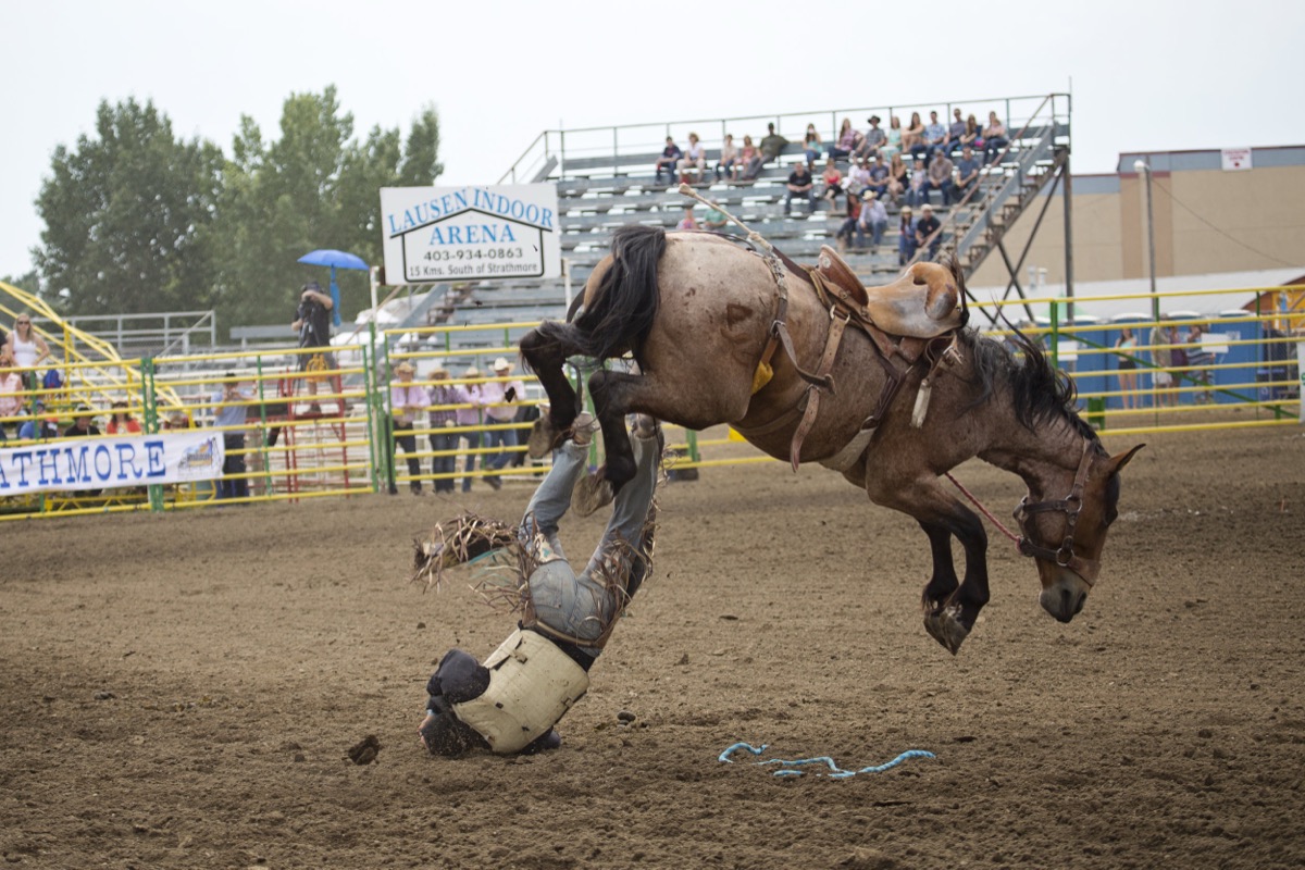 Rodeo photograph 76 by Shauna Kenworthy