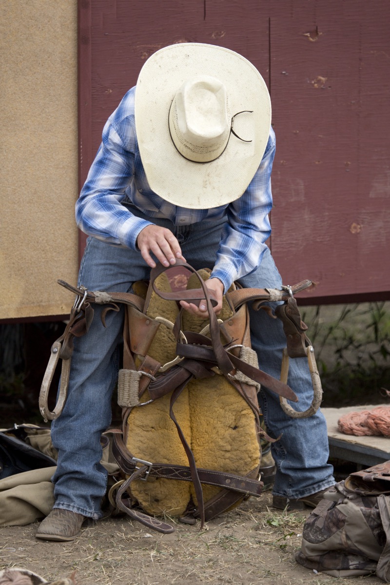 Rodeo photograph 84 by Shauna Kenworthy