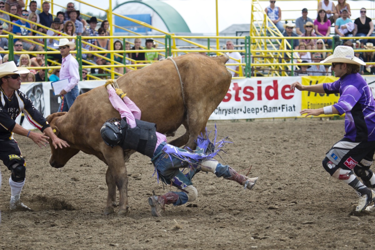 Rodeo photograph 87 by Shauna Kenworthy