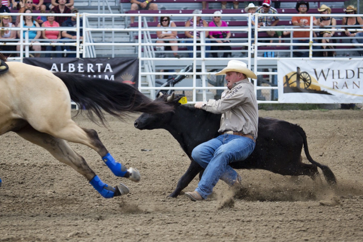 Rodeo photograph 88 by Shauna Kenworthy