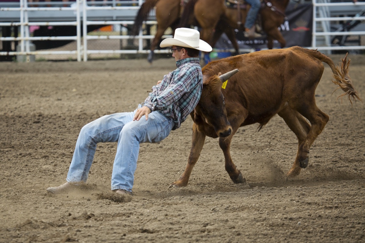 Rodeo photograph 89 by Shauna Kenworthy